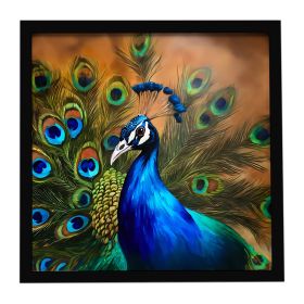 Peacock Framed Metal Print Bathroom, Kitchen, Office, Home Decor Wall Art Ready to Hang, Square, 8X8 (Default: Default)